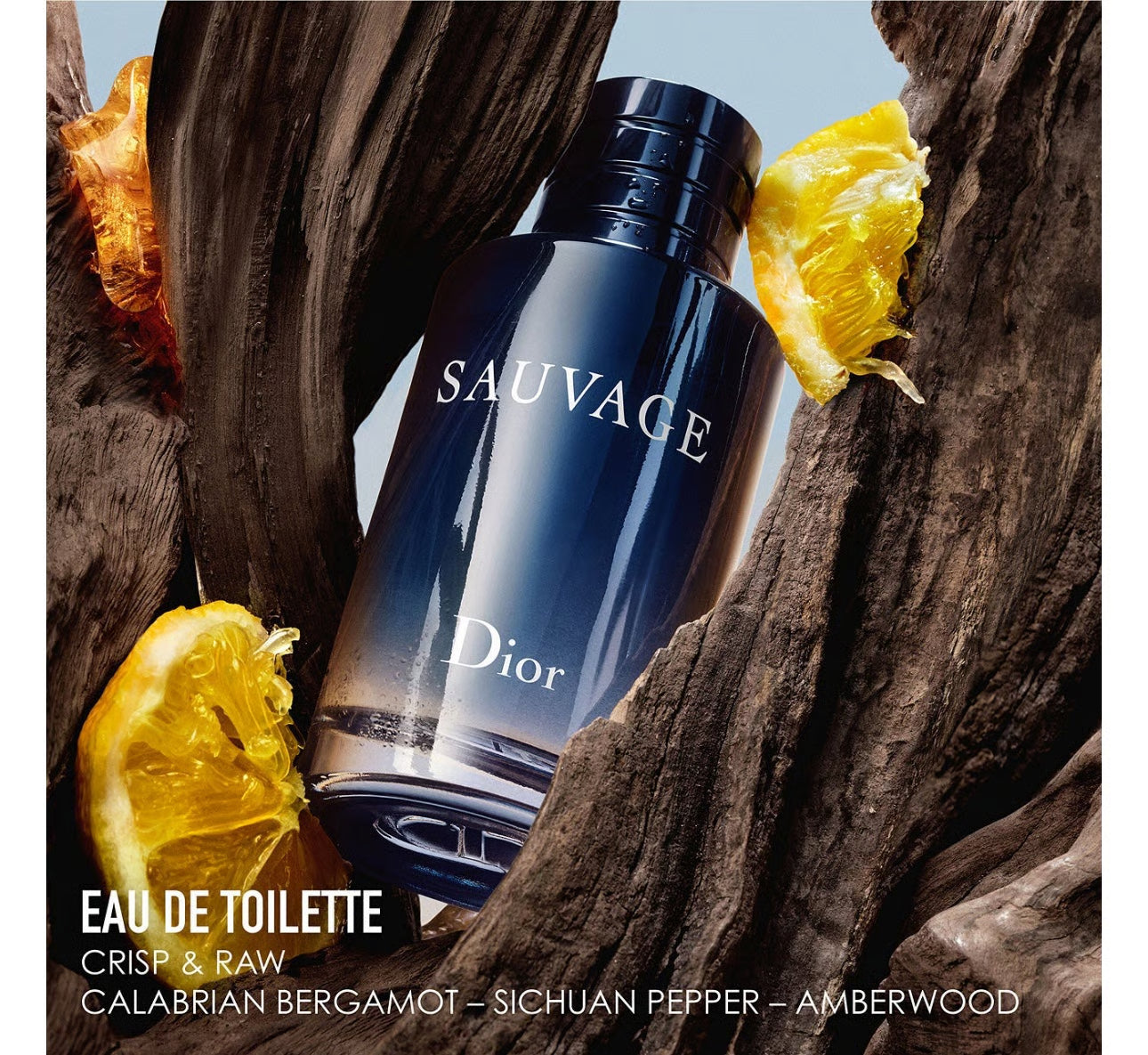 Sauvage Eau de Parfum – Luxury Men’s Fragrance of Power & Elegance (100ml)